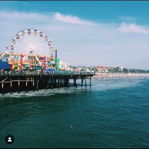 Meet your Posher, Marley